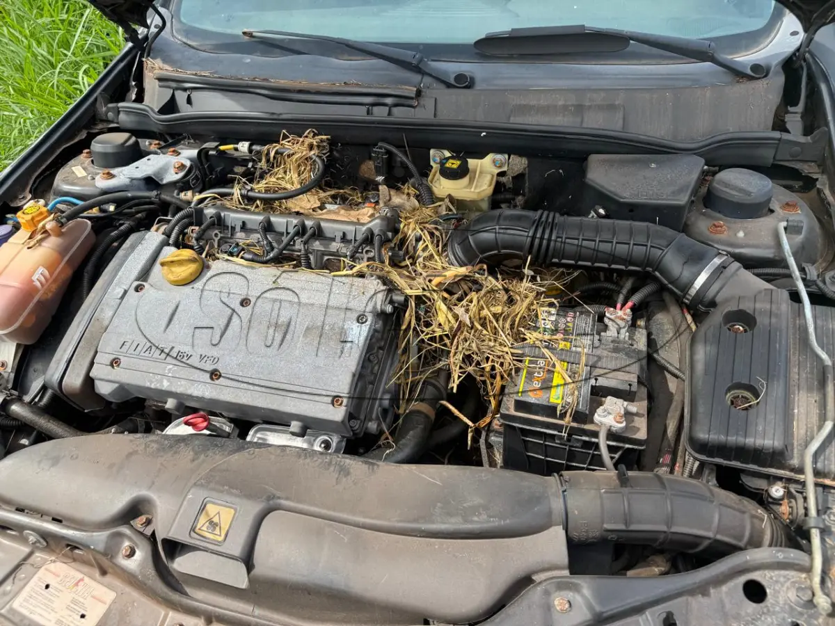 LOTE 010 - AUTOMOVEL