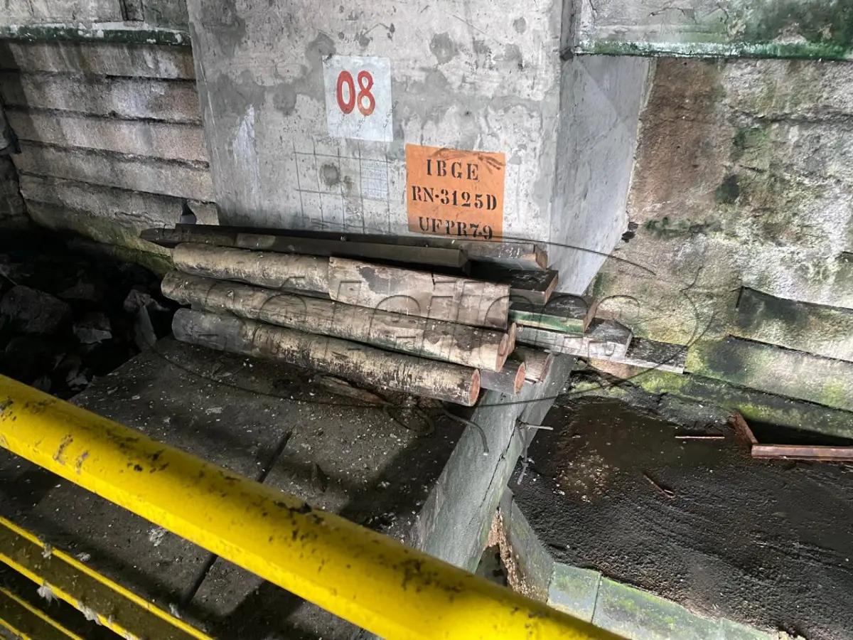 LOTE 014 - Vigas de madeira