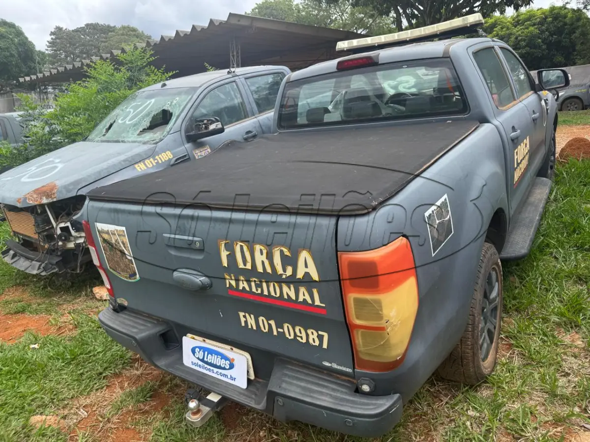 LOTE 052 - PICAPE