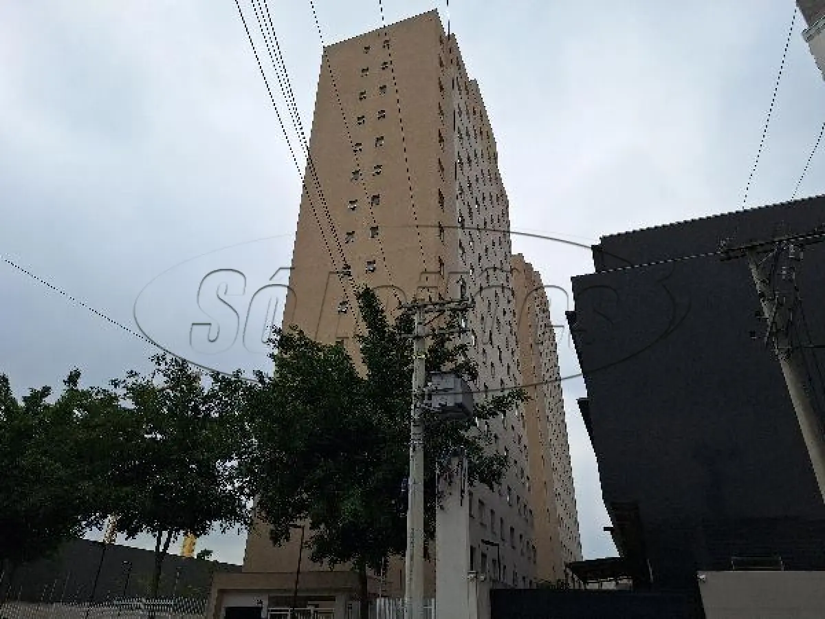 LOTE 490 - SP/SAO PAULO/APARTAMENTO