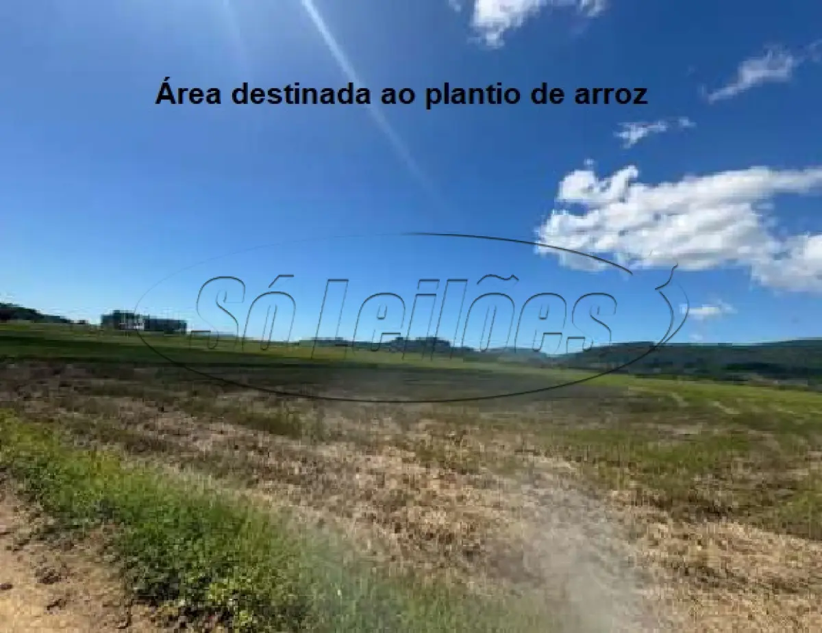 LOTE 001 - Terreno Rural