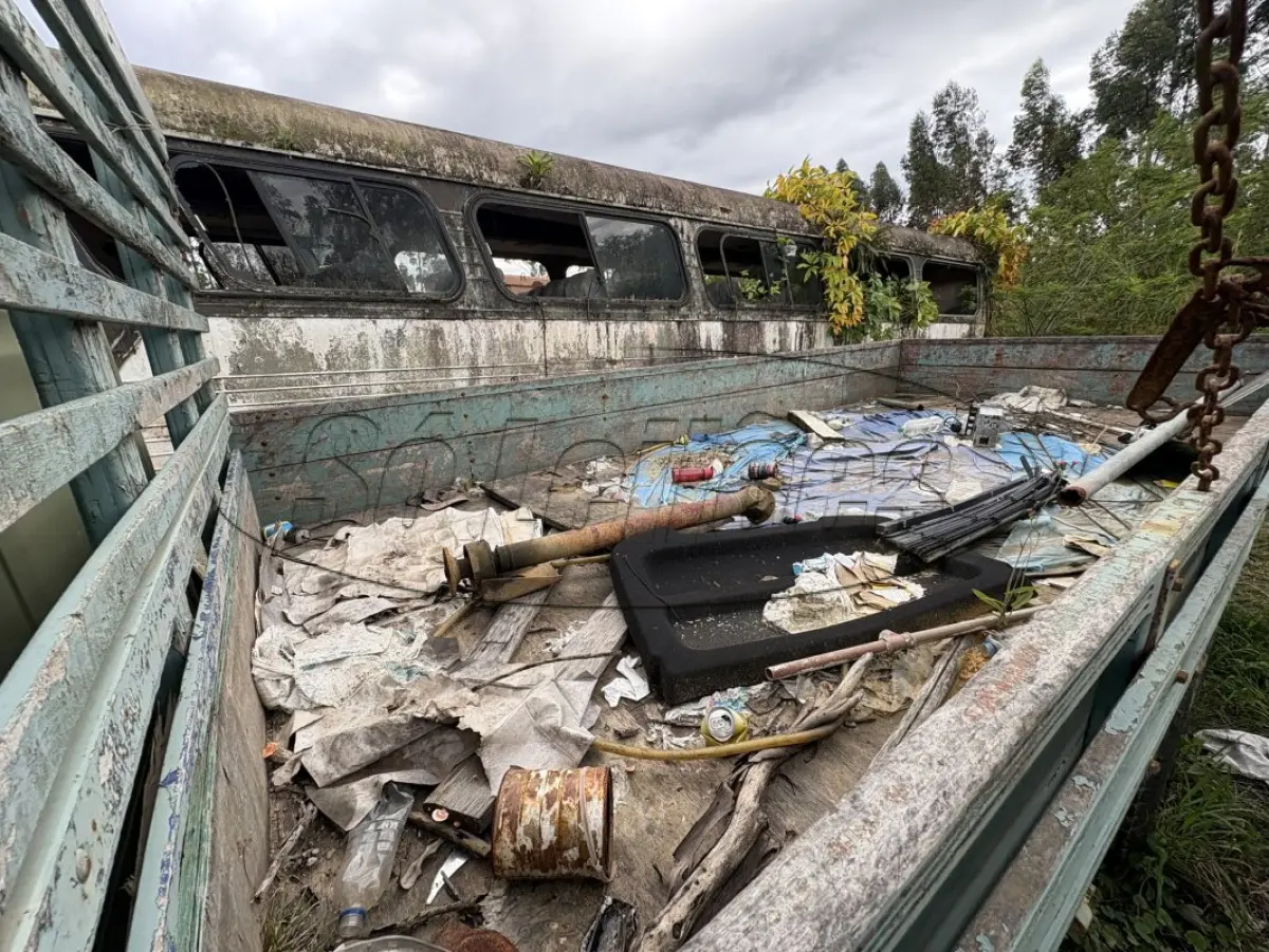 LOTE 006 - Caminhão