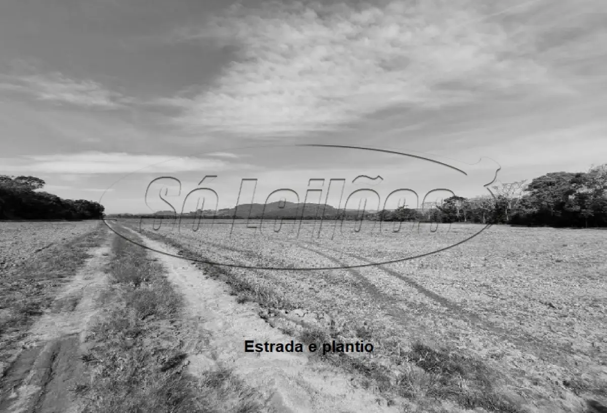 LOTE 001 - Terreno Rural