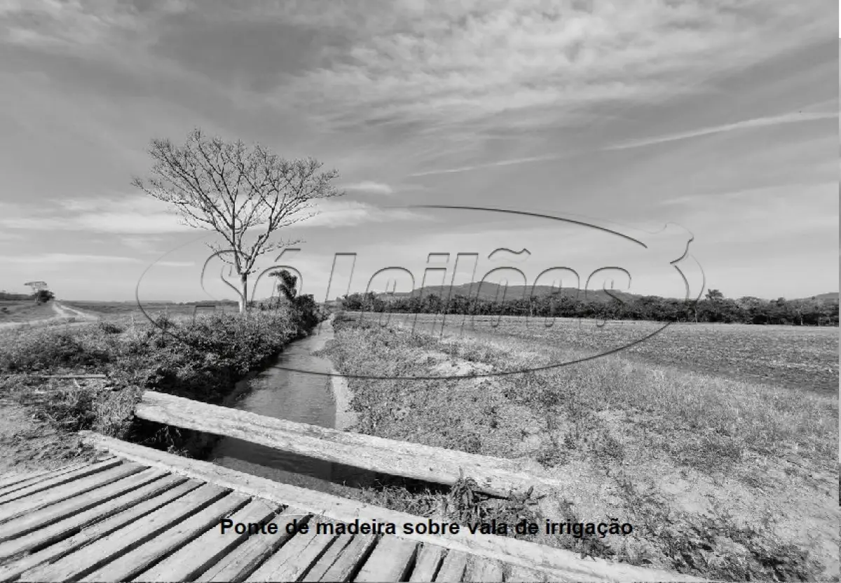 LOTE 001 - Terreno Rural