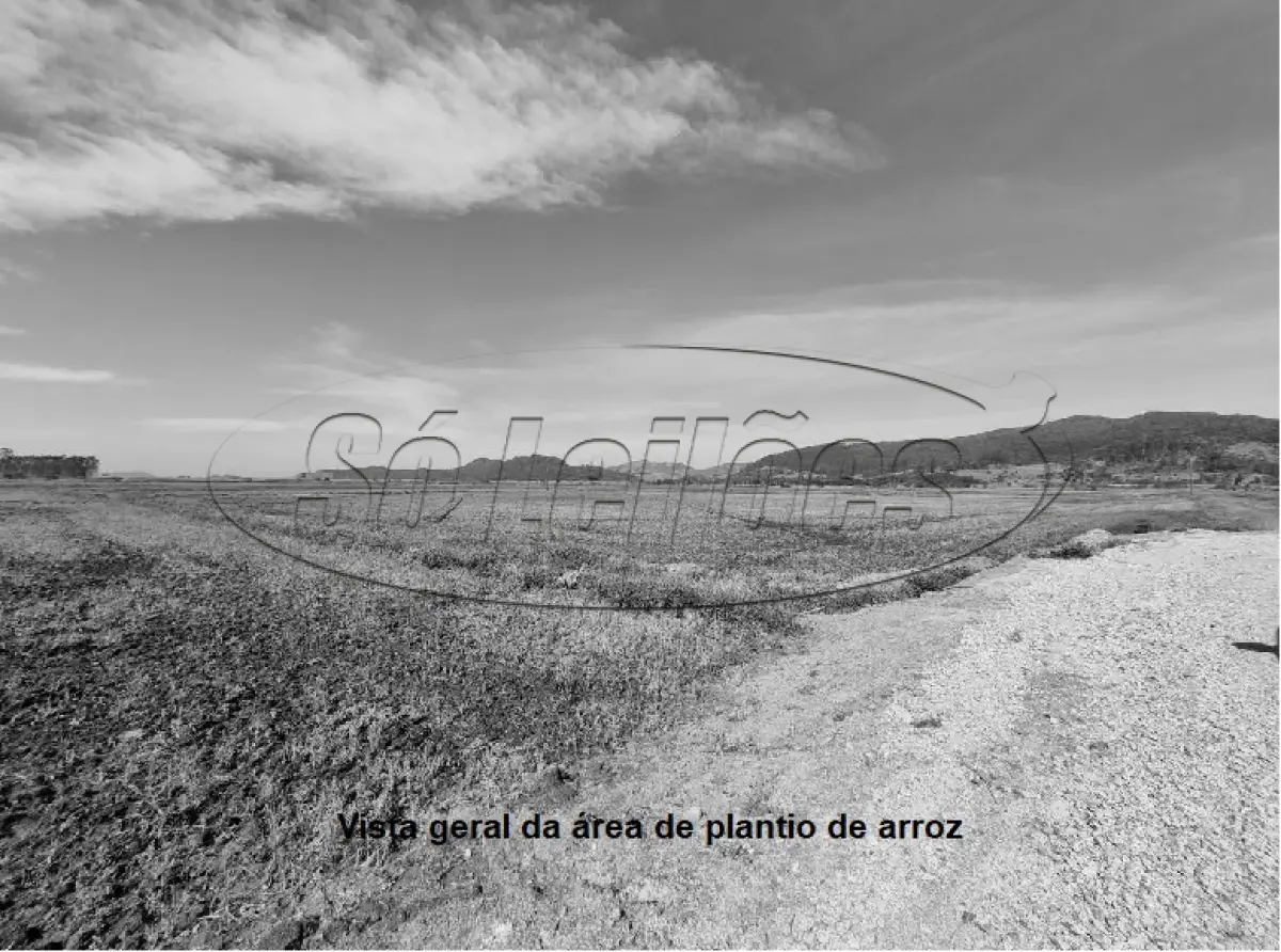 LOTE 001 - Terreno Rural