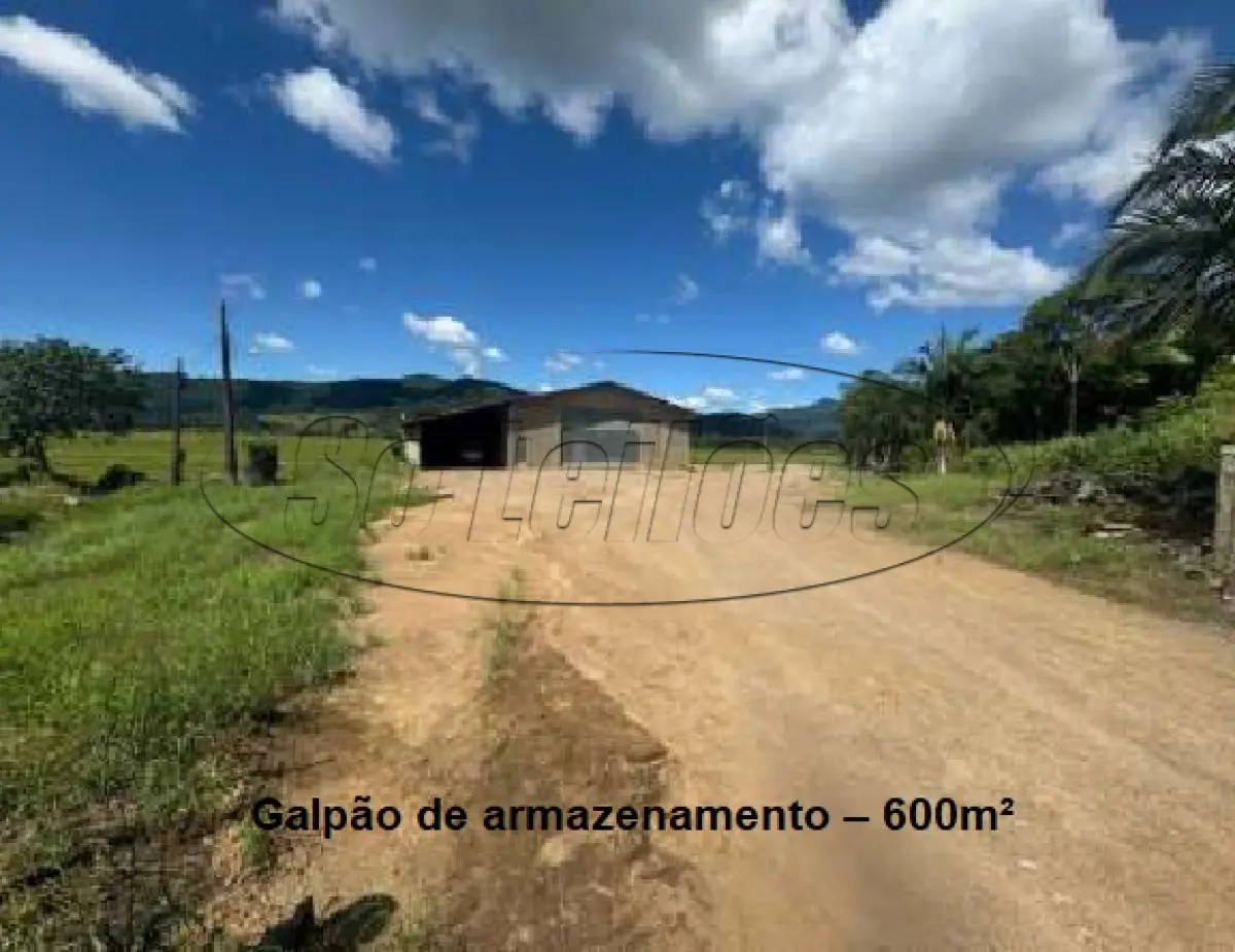 LOTE 001 - Terreno Rural