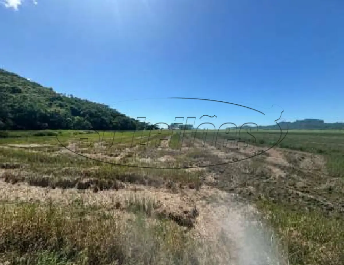 LOTE 001 - Terreno Rural