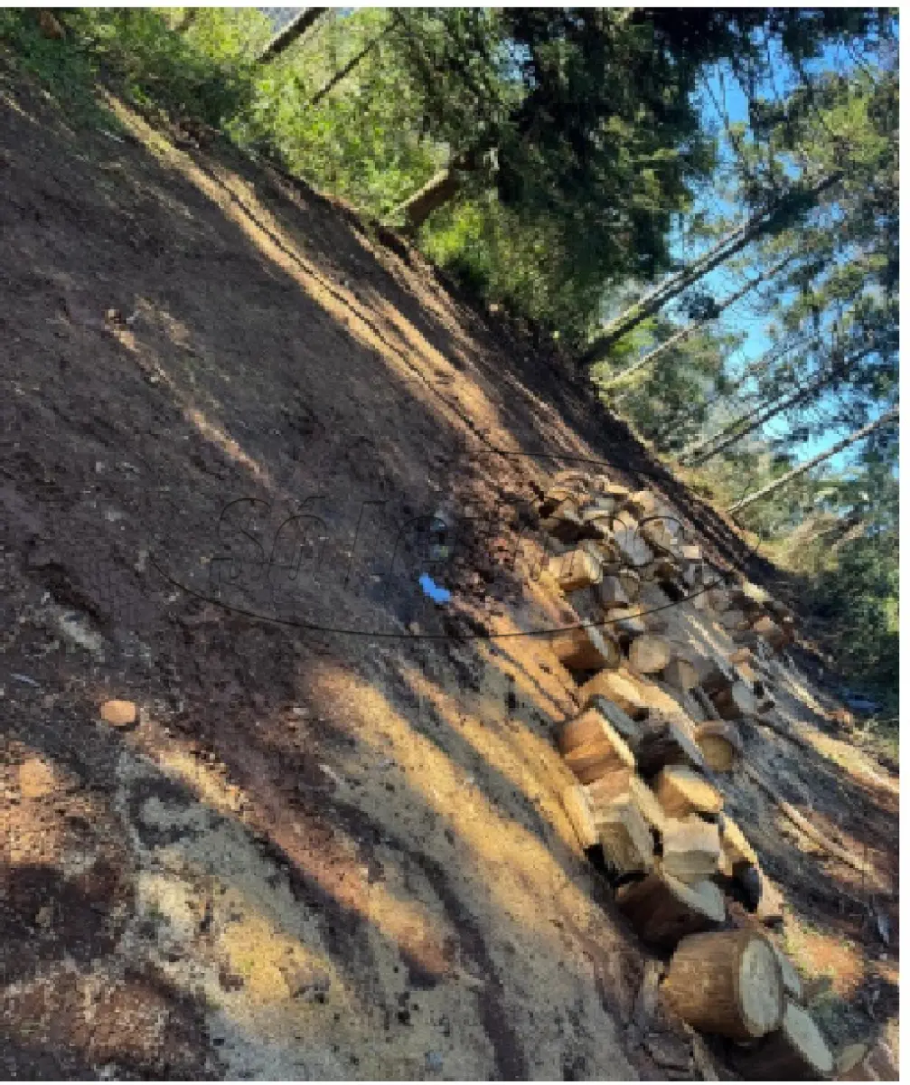 LOTE 000 - Terreno Rural / Luzerna/SC