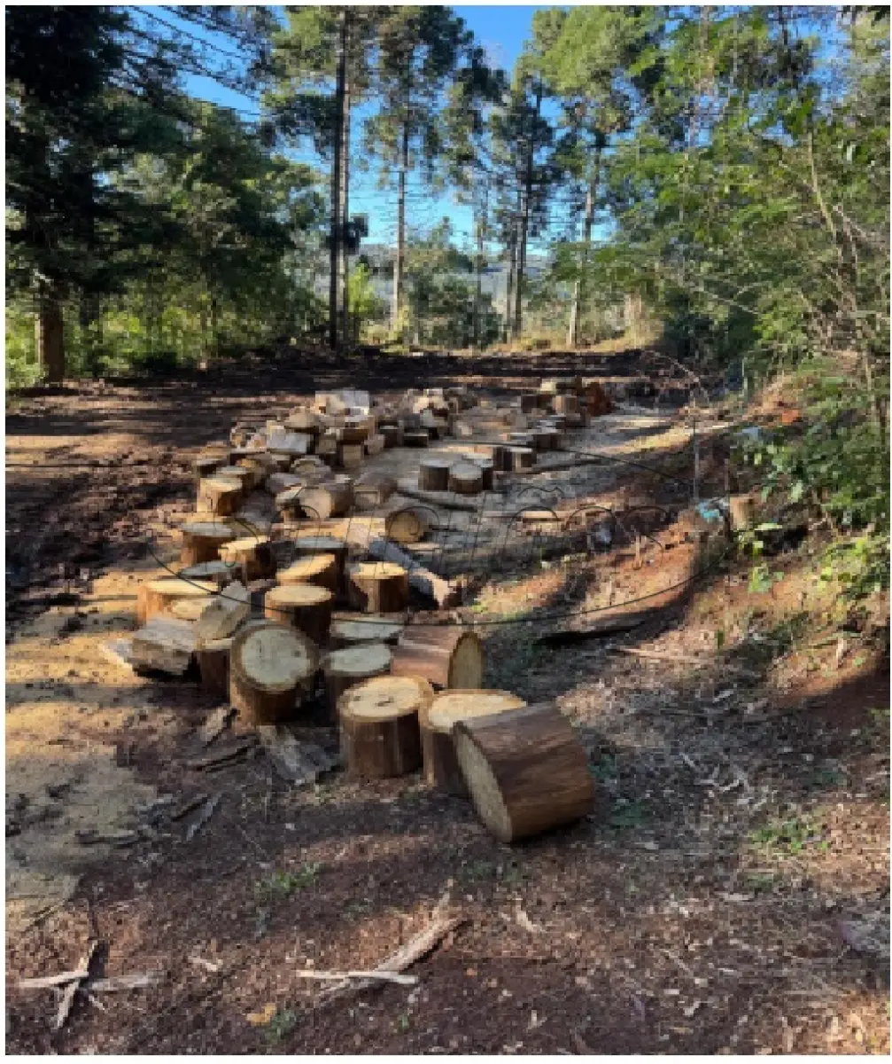 LOTE 000 - Terreno Rural / Luzerna/SC