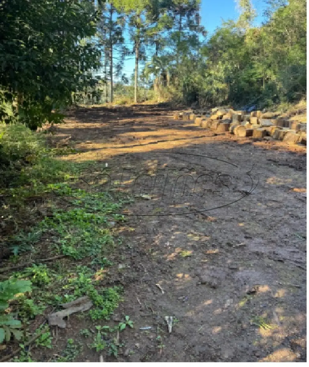 LOTE 000 - Terreno Rural / Luzerna/SC