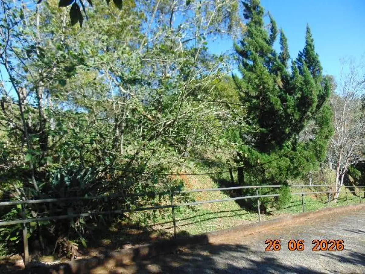 LOTE 006 - TERRENO URBANO NOVA VENEZA/SC