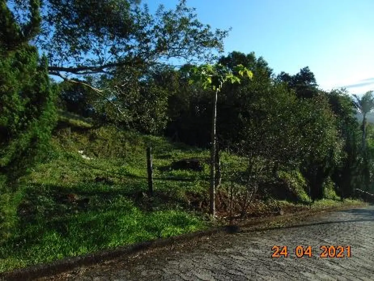 LOTE 006 - TERRENO URBANO NOVA VENEZA/SC