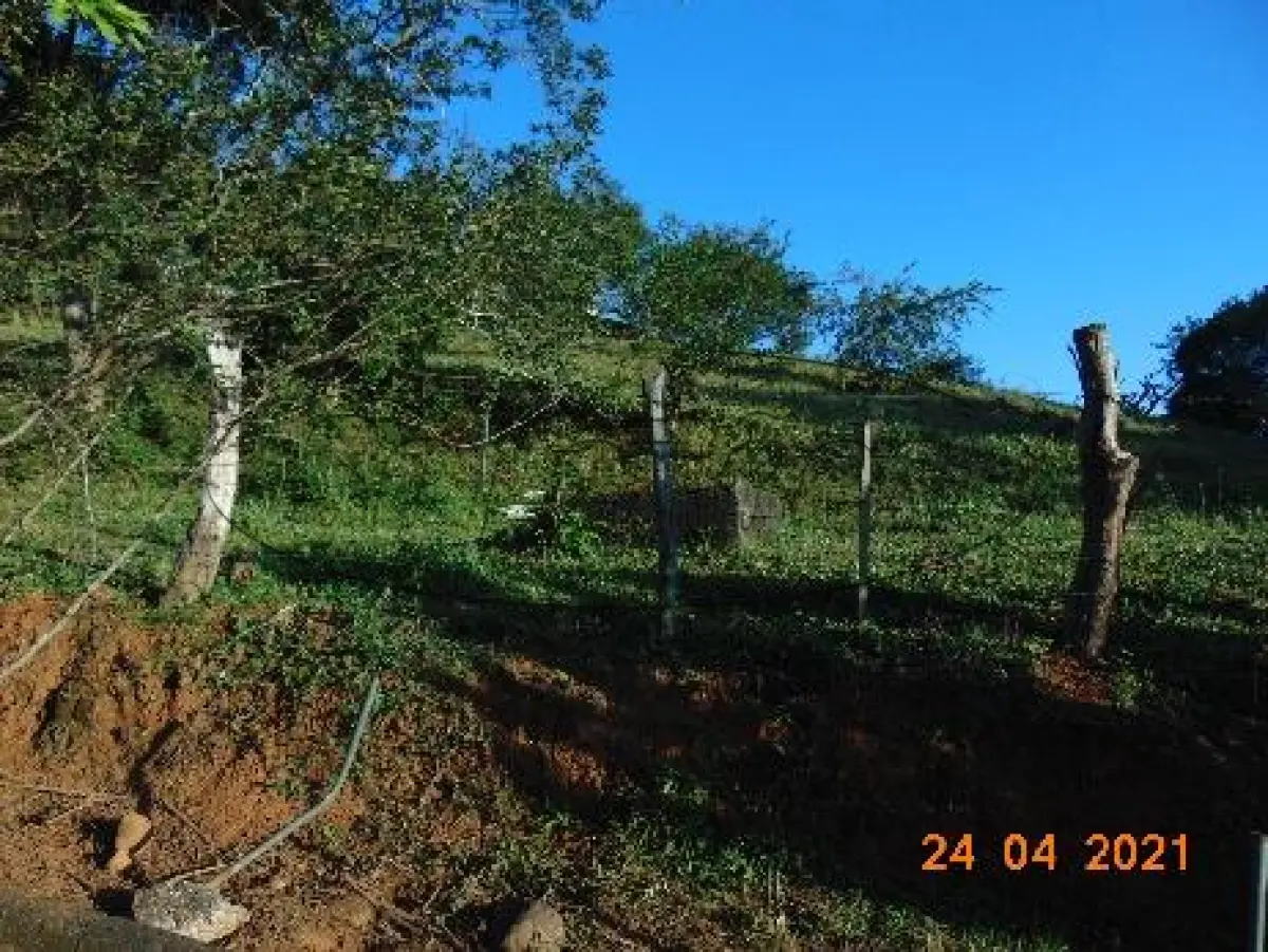 LOTE 006 - TERRENO URBANO NOVA VENEZA/SC