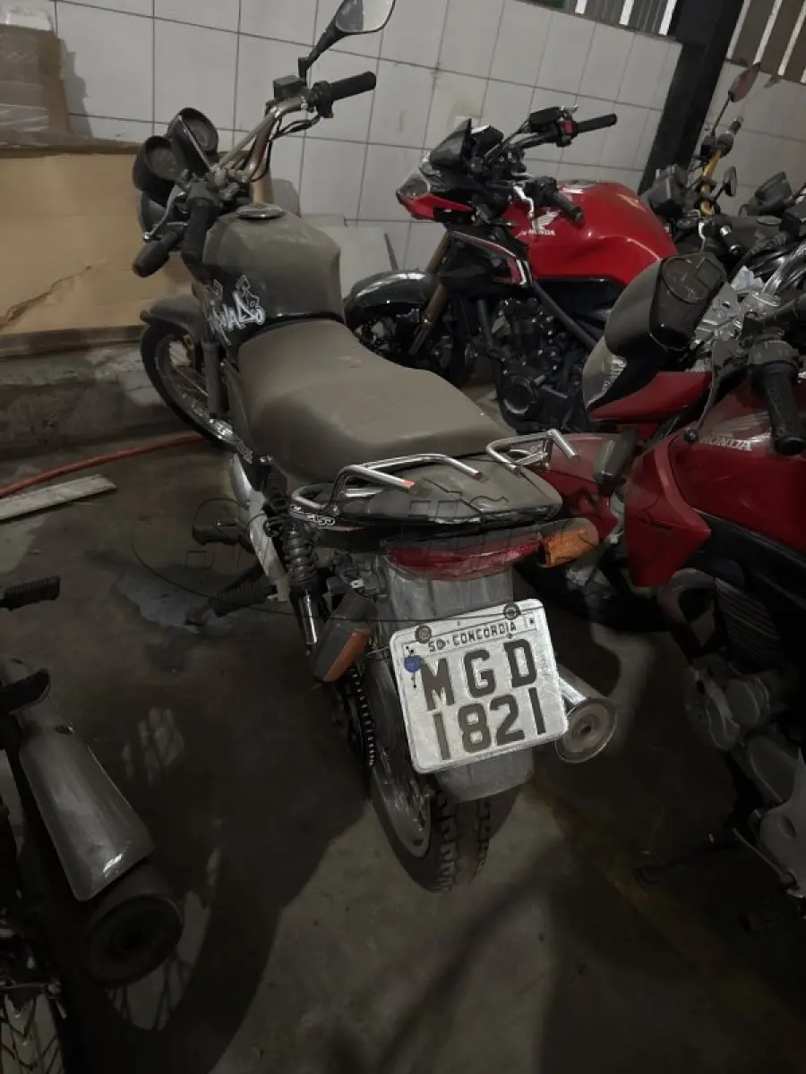 LOTE 0100