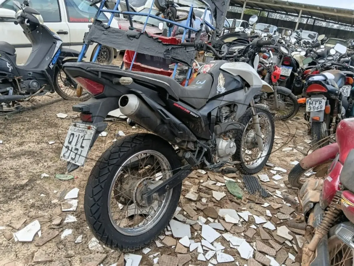 LOTE 0082