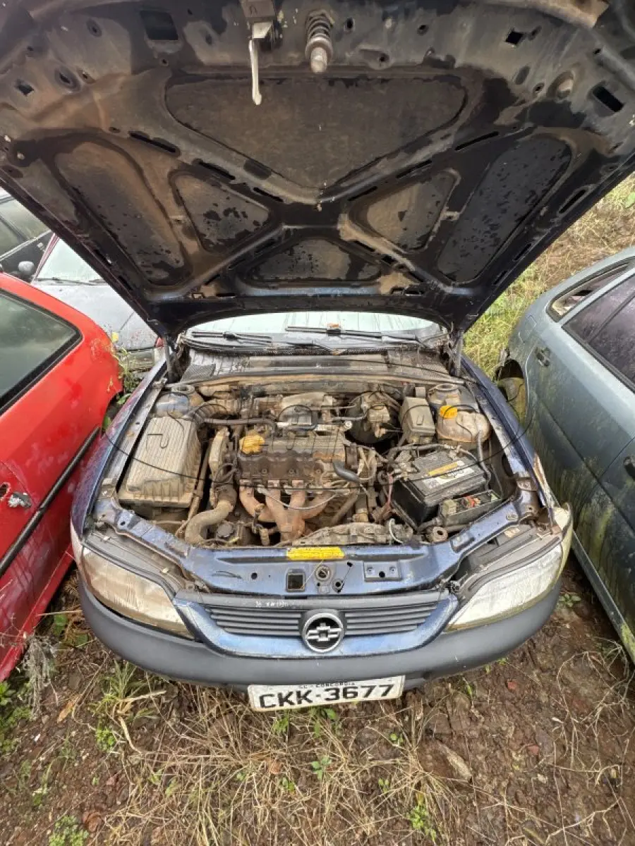 LOTE 0243