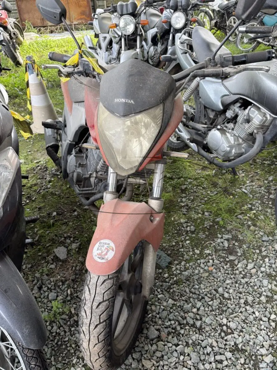 LOTE 0149
