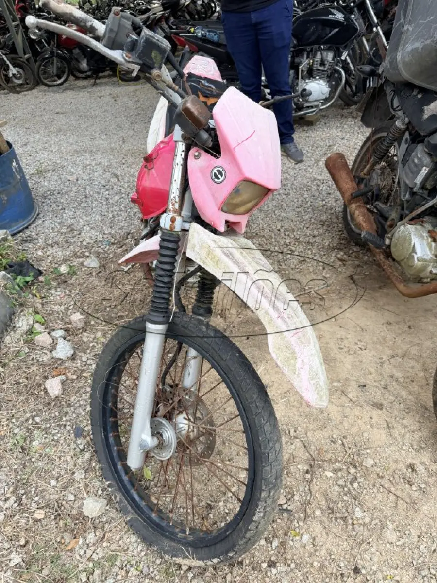 LOTE 0389