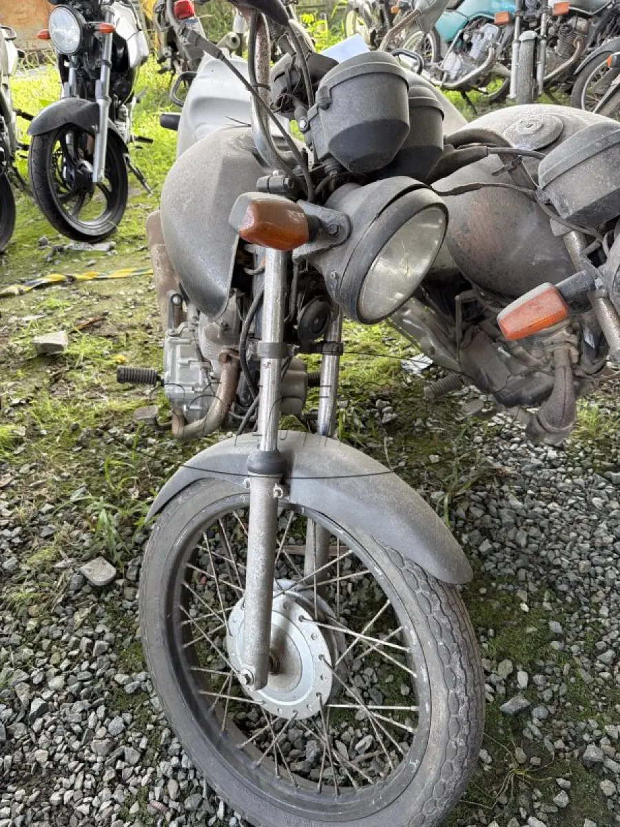 LOTE 0157