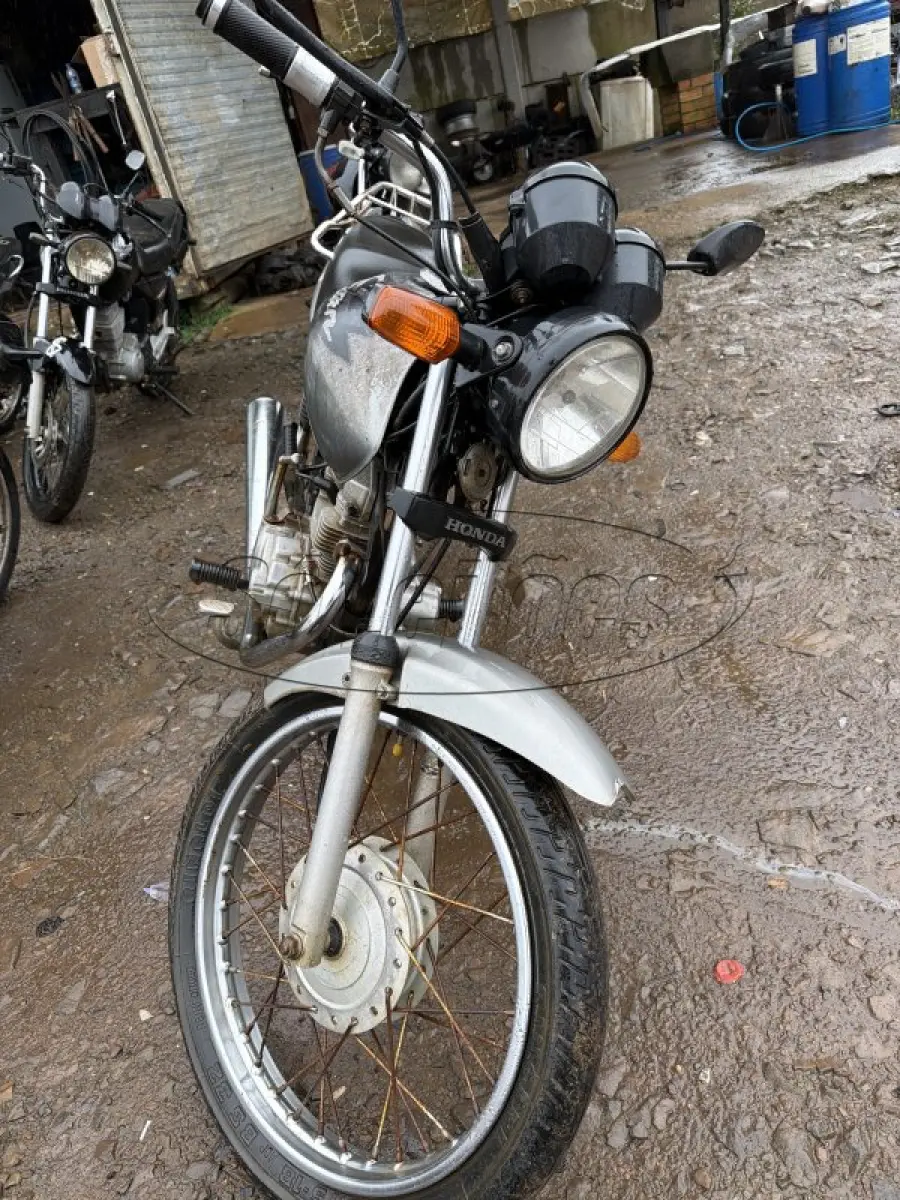 LOTE 0123