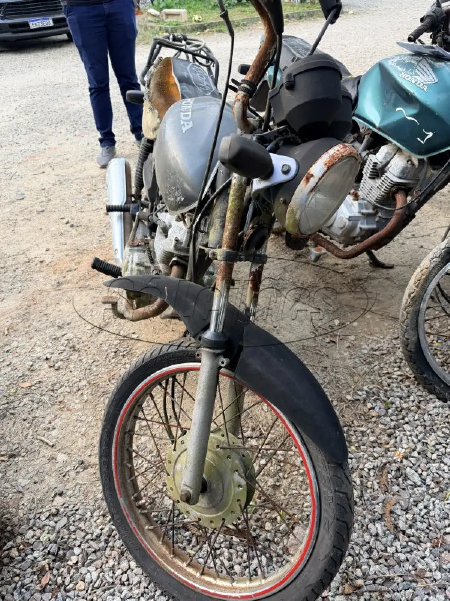 LOTE 0387