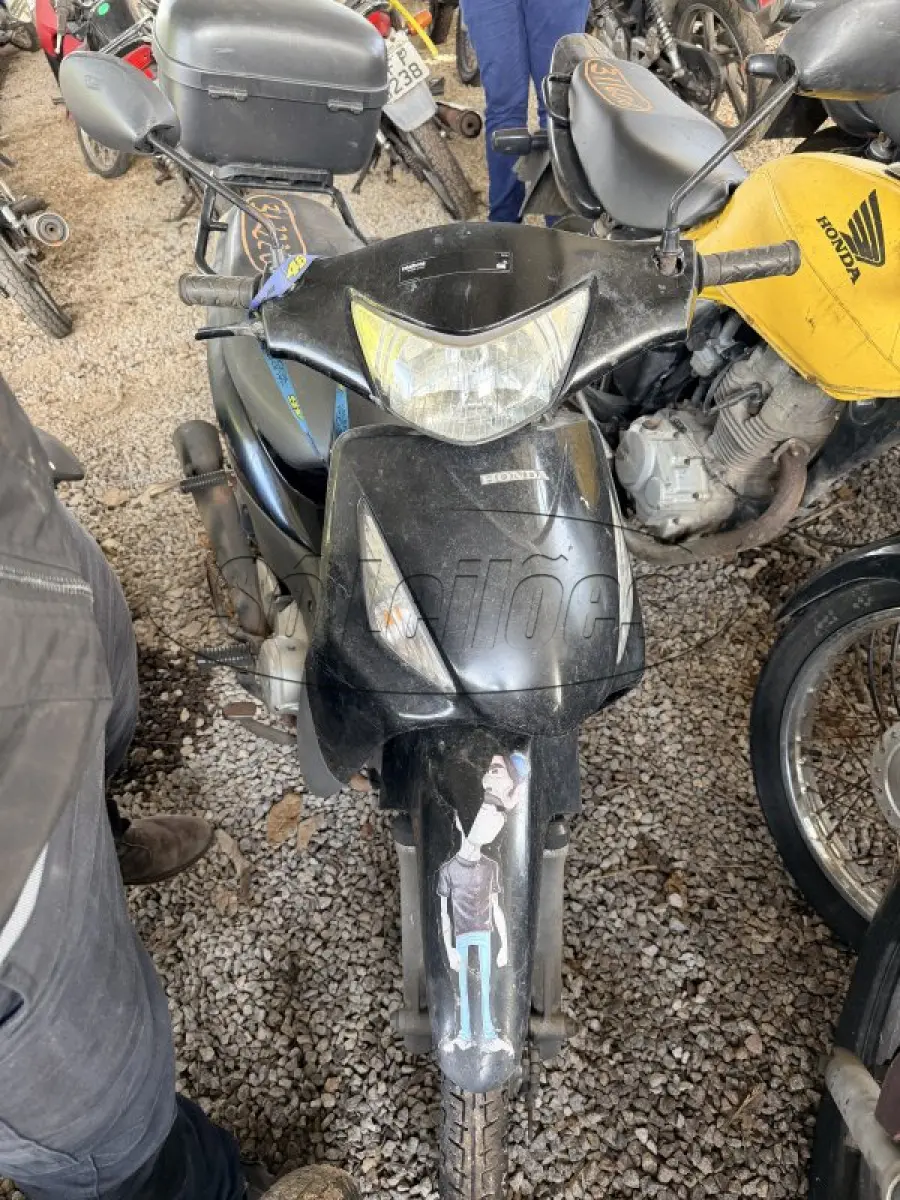 LOTE 0119
