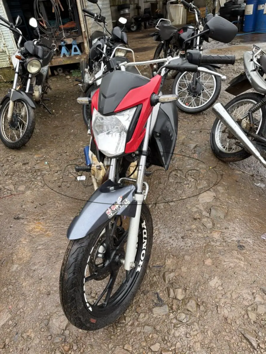 LOTE 0128