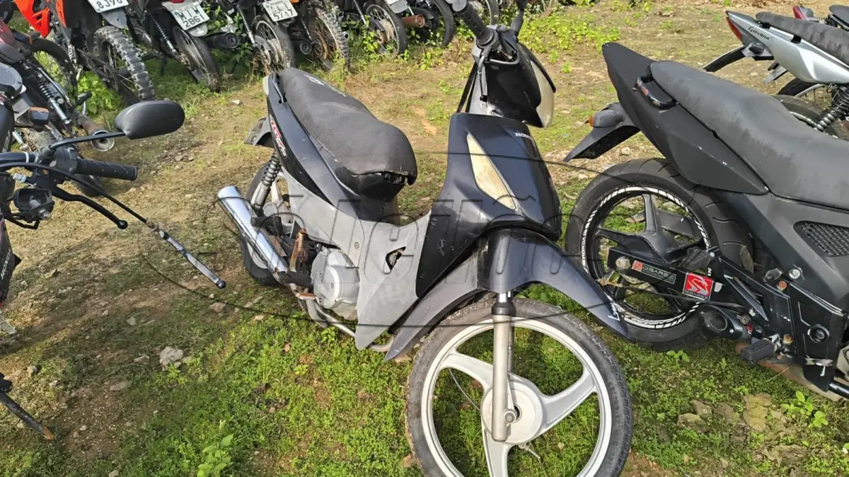 LOTE 0131