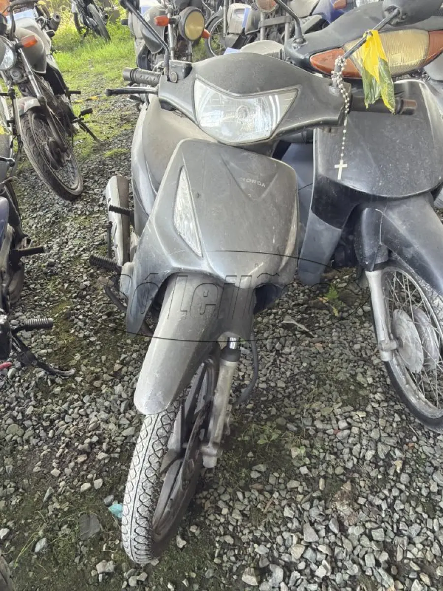 LOTE 0172