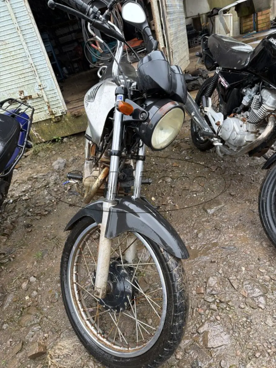 LOTE 0127