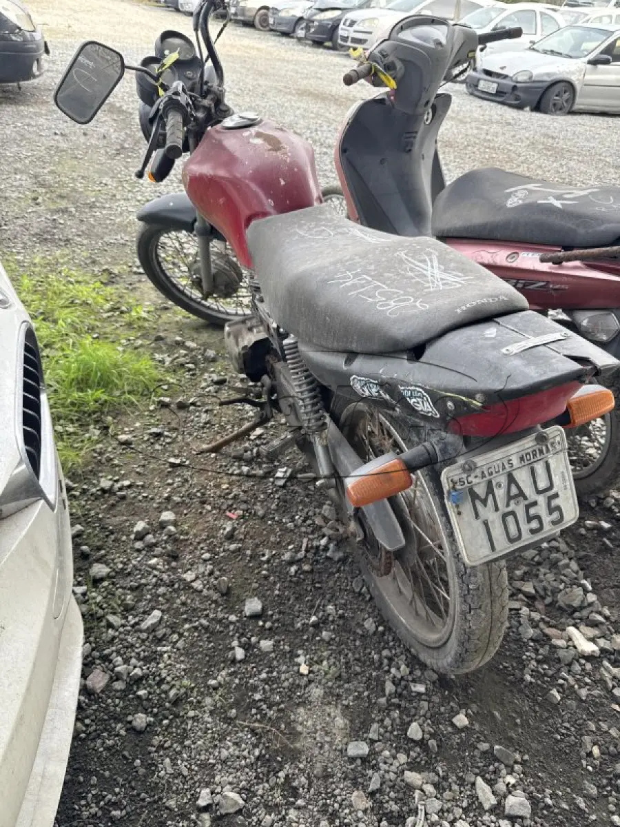 LOTE 0393