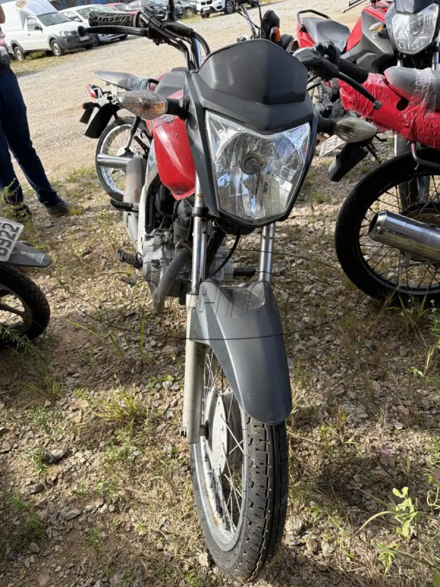 LOTE 0202