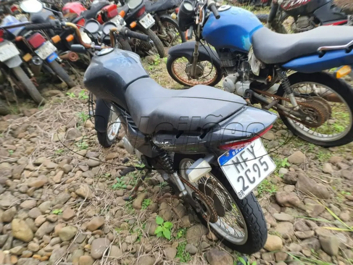 LOTE 0215