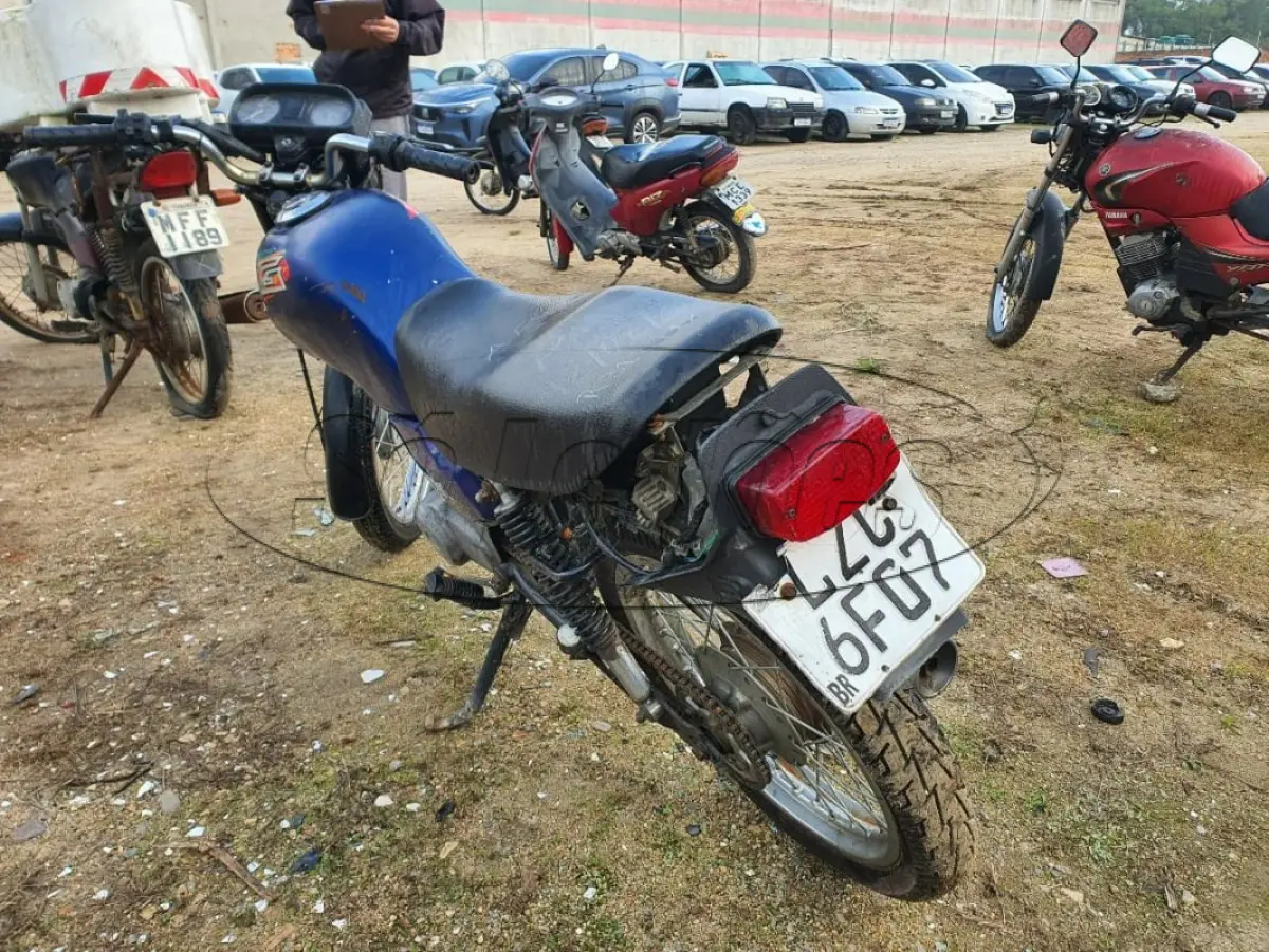 LOTE 0446
