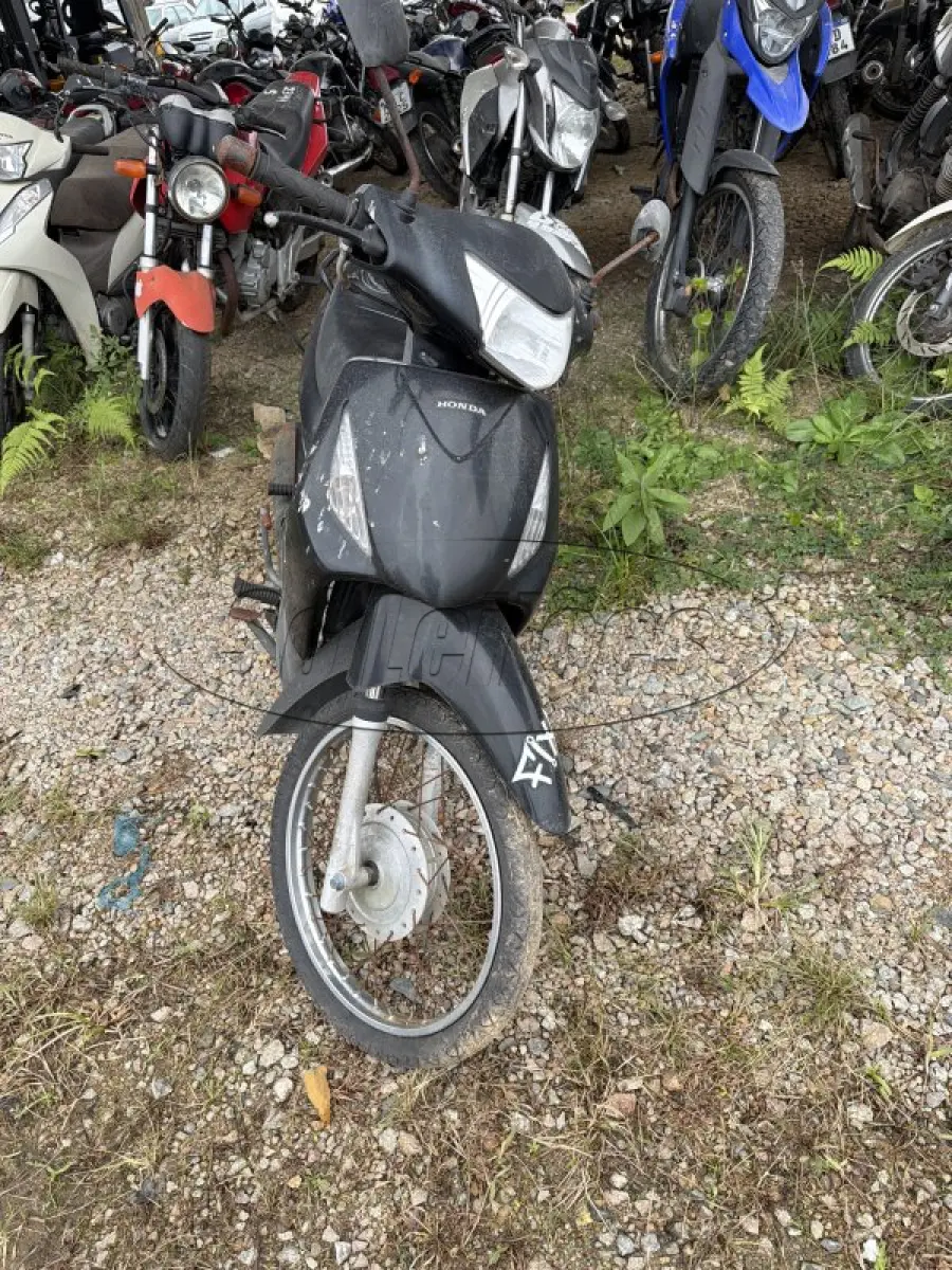 LOTE 0207