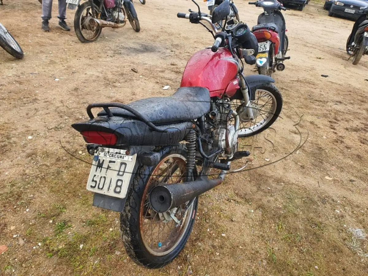 LOTE 0445