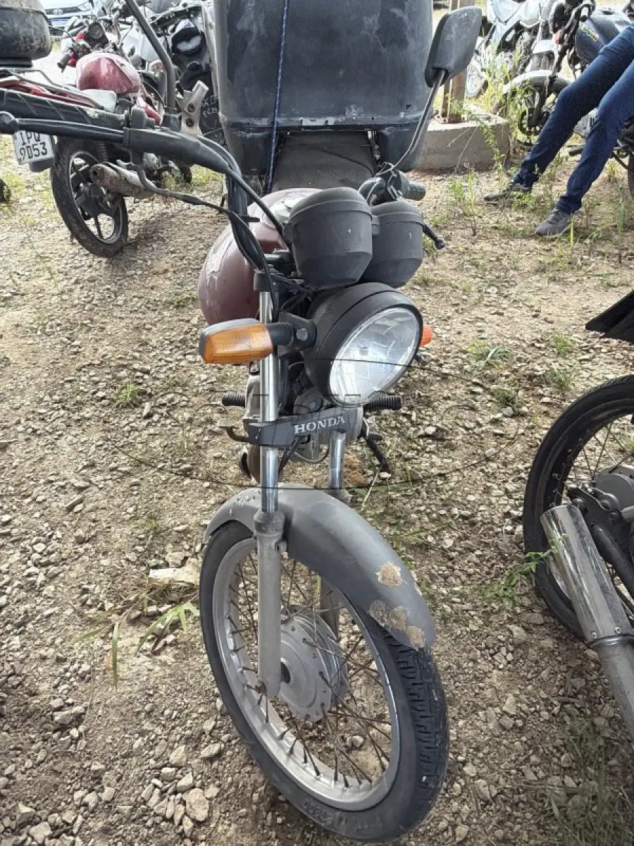 LOTE 0204