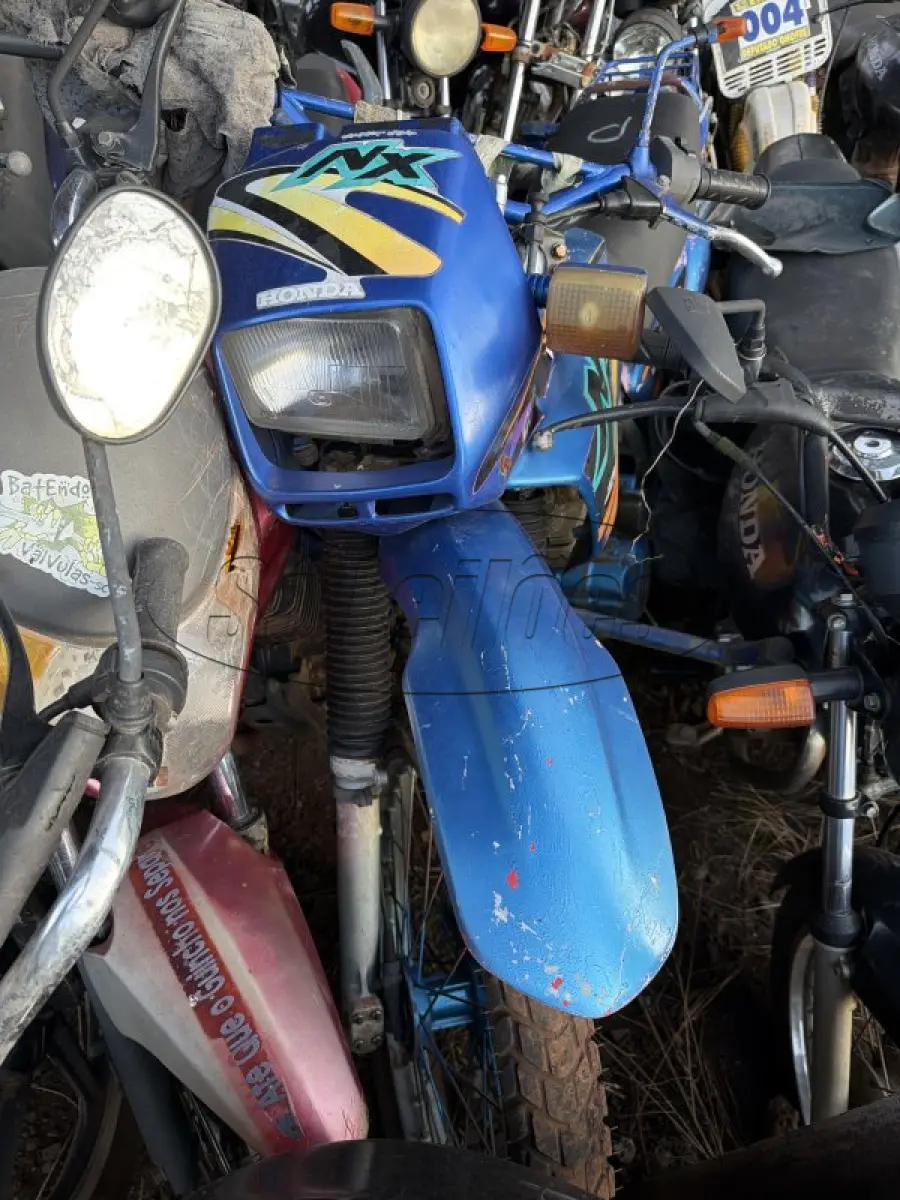 LOTE 0431