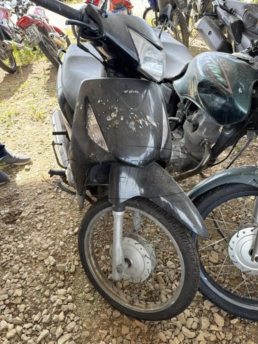 LOTE 0209