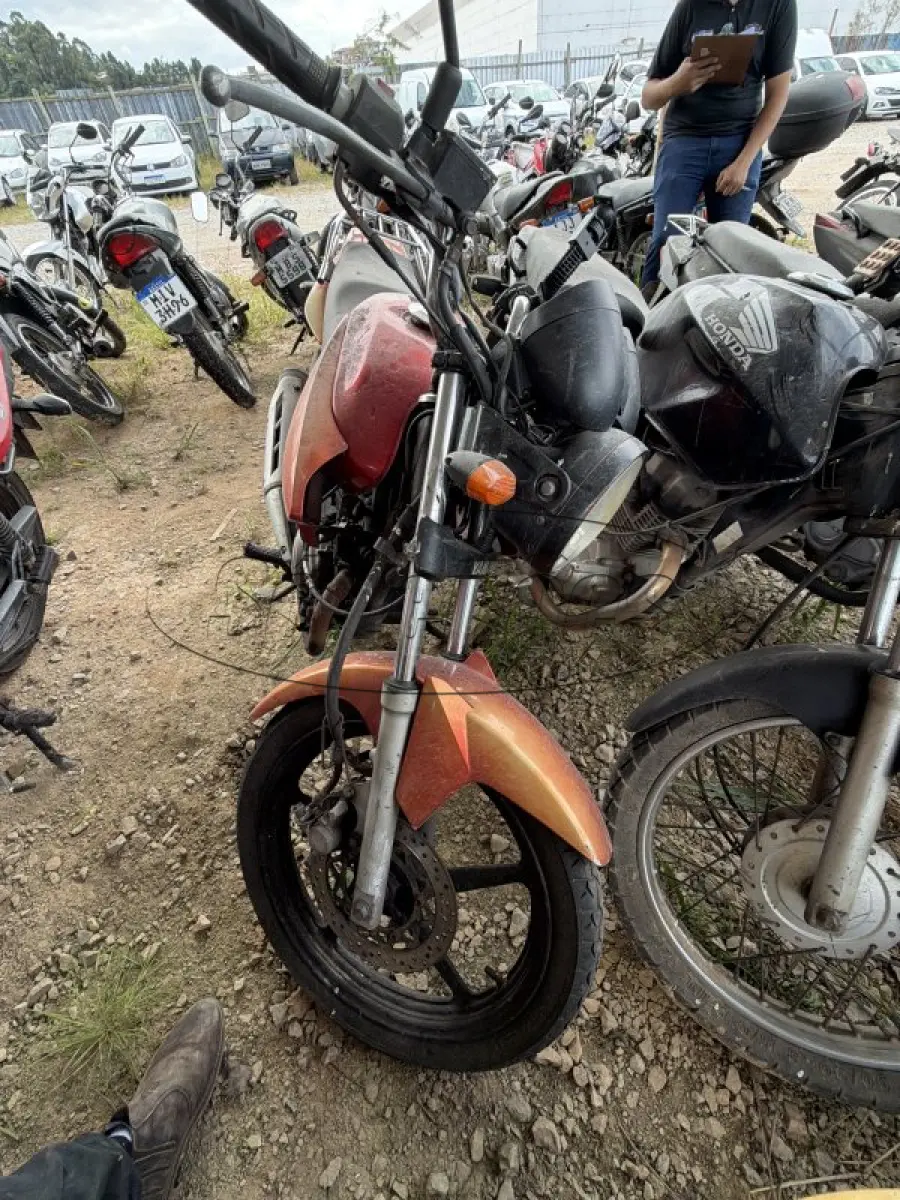 LOTE 0205