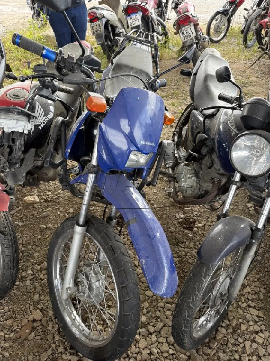 LOTE 0438