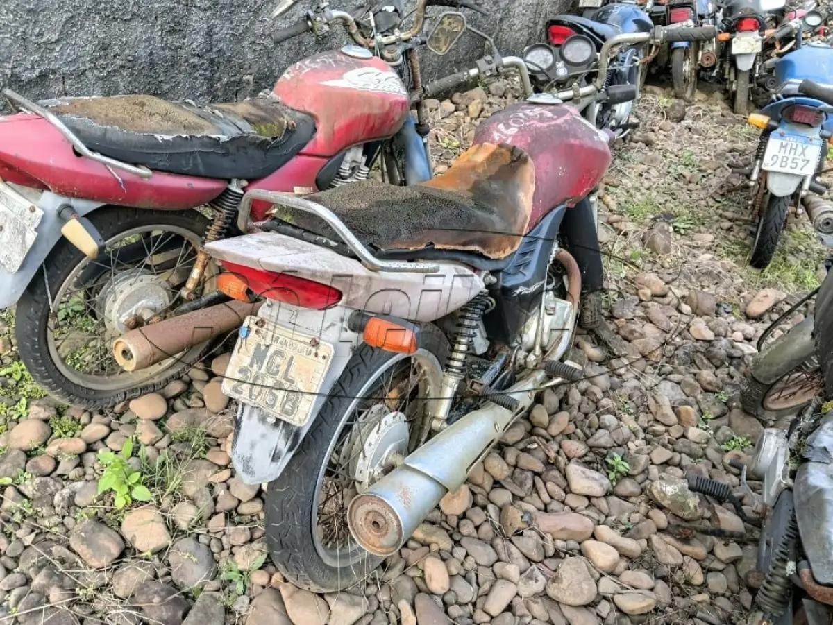 LOTE 0425