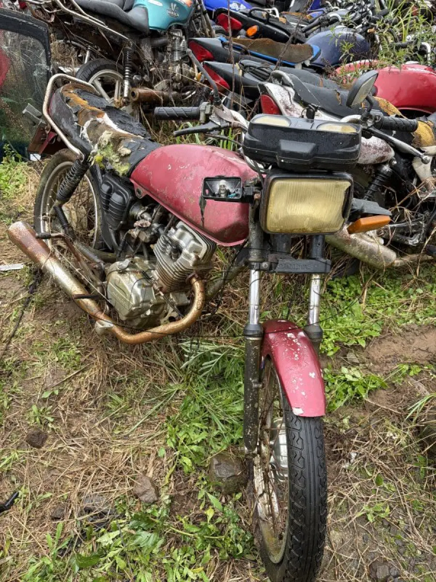 LOTE 0391