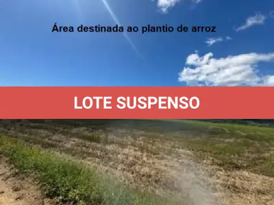 LOTE 001 - Terreno Rural