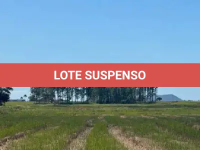 LOTE 001 - Terreno Rural