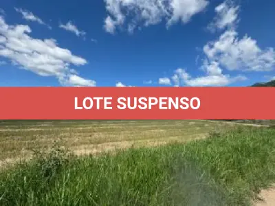 LOTE 001 - Terreno Rural