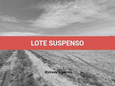 LOTE 001 - Terreno Rural