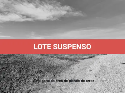 LOTE 001 - Terreno Rural