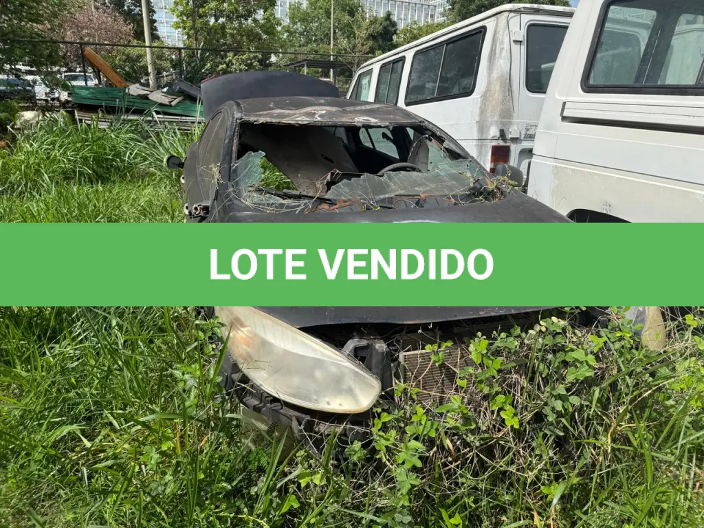 LOTE 013