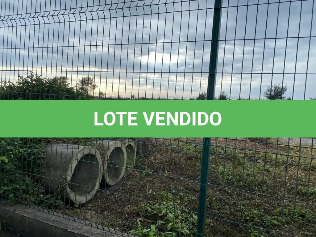 LOTE 001